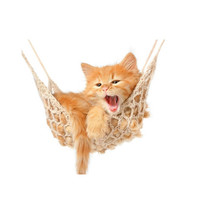 猫吊床排行榜