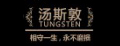 汤斯敦品牌标志logo