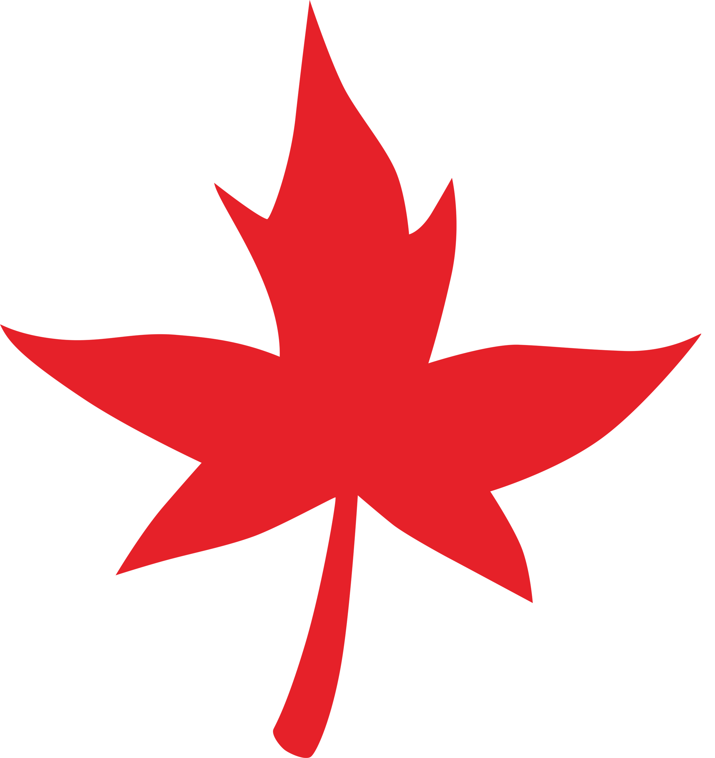 枫林科技品牌标志logo