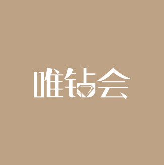 唯钻会品牌标志logo