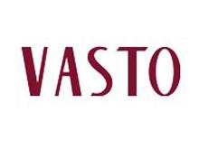 vasto品牌标志logo