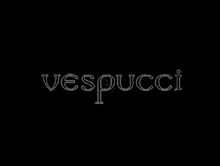 vespucci品牌标志logo