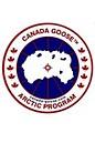 canada goose