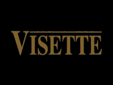 visette品牌标志logo