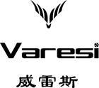 varesi品牌标志logo